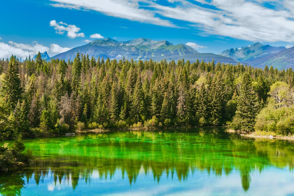 5 Elemen Wu Xing dalam Fengshui: Kayu, Api, Tanah, Logam, Air